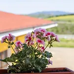 Hotel Su Arghentu Country 3*